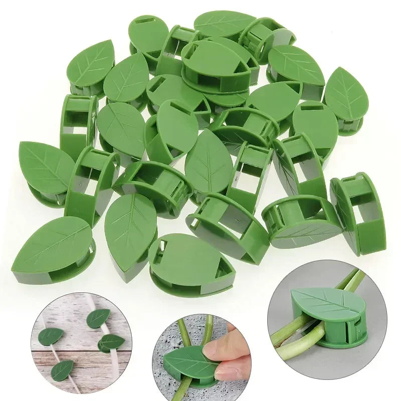 Plant Clip Invisible Plant Wall Climbing Device Vine Bracket Fixed Buckle Leaf Clip Traction Rack Garden Supplies