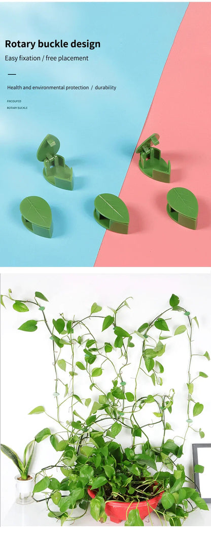 Plant Clip Invisible Plant Wall Climbing Device Vine Bracket Fixed Buckle Leaf Clip Traction Rack Garden Supplies