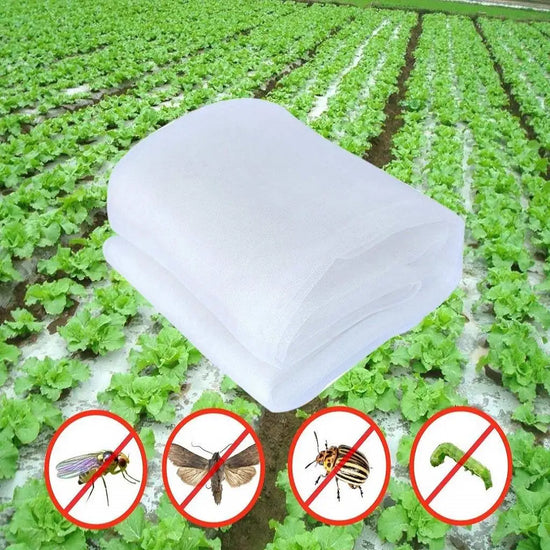 Insect Animal Garden Insect Netting Vegetables Pest Plant Crops Protect Mesh